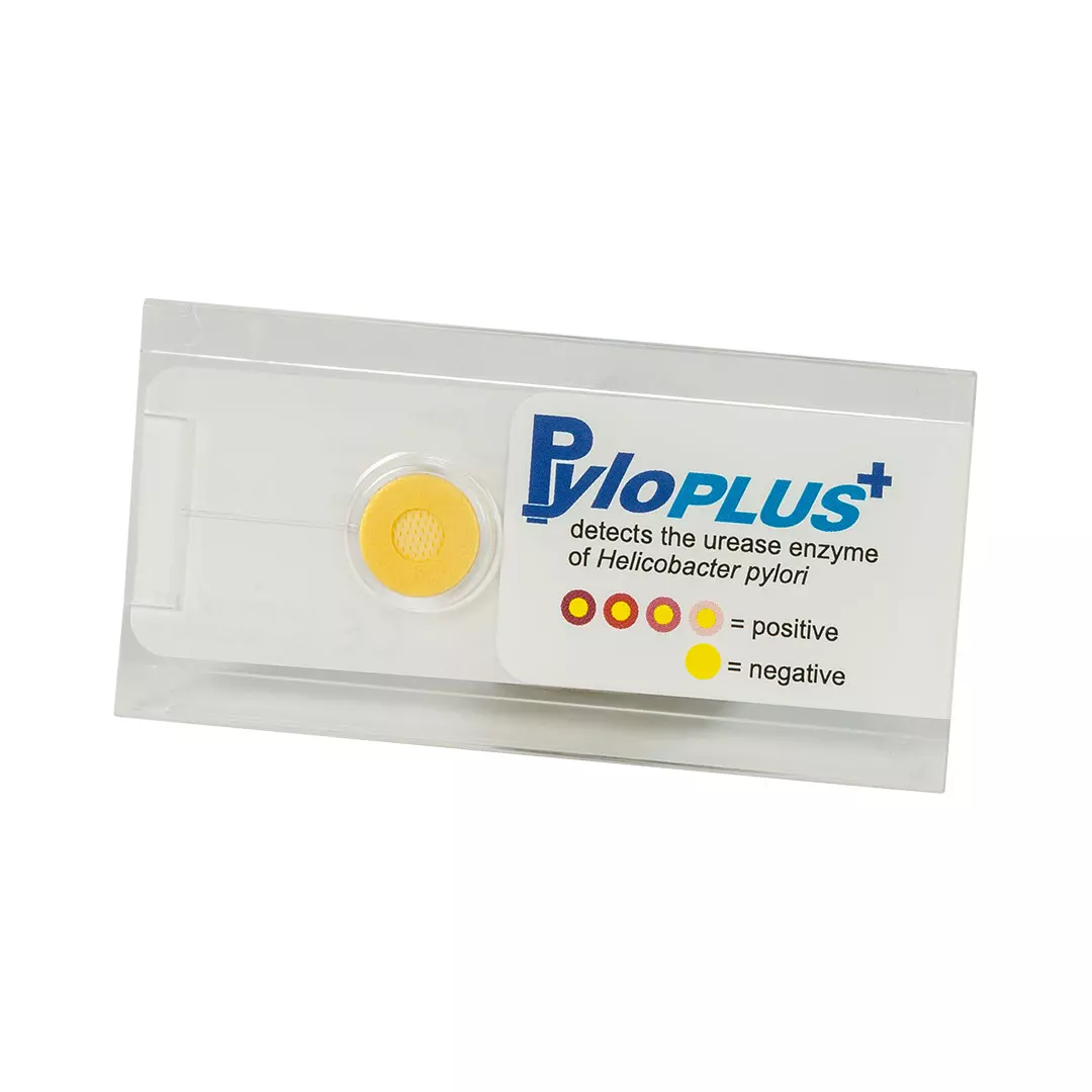 PyloPlus Rapid Urease Test for H.pylori