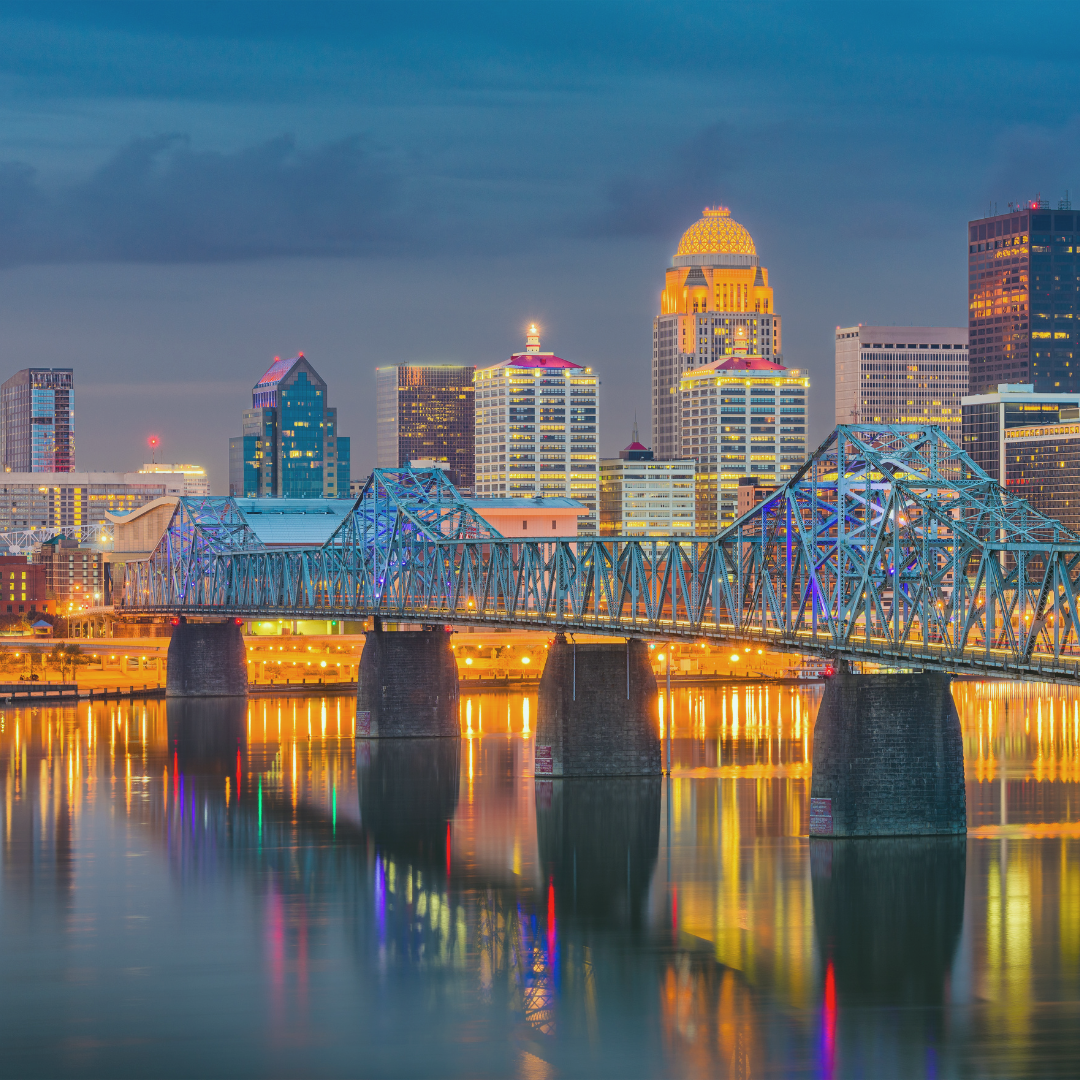 a bridge over a body of water with a city skyline in the background