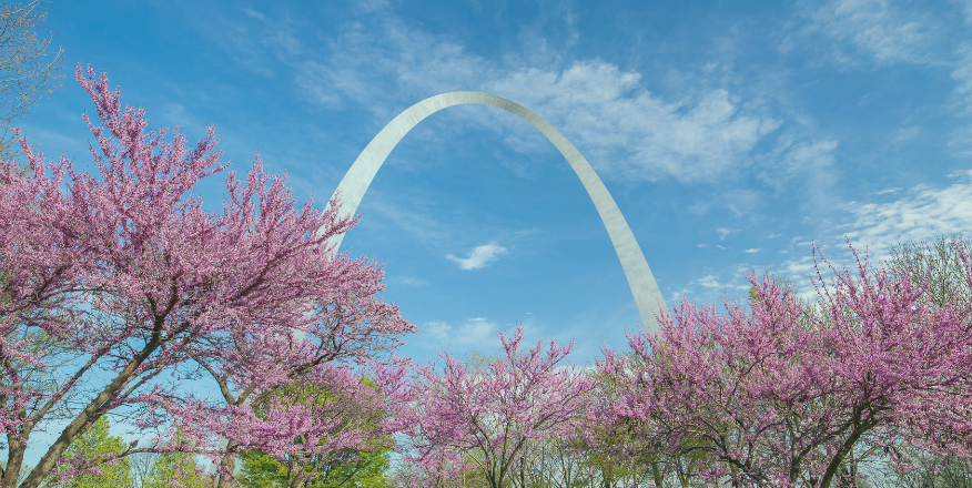 St. Louis, MO